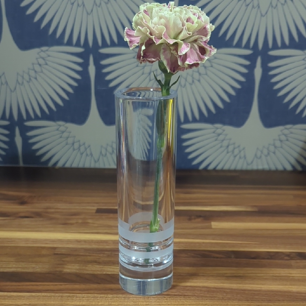 Kate Spade New York Lenox Clear Glass Banded Vase